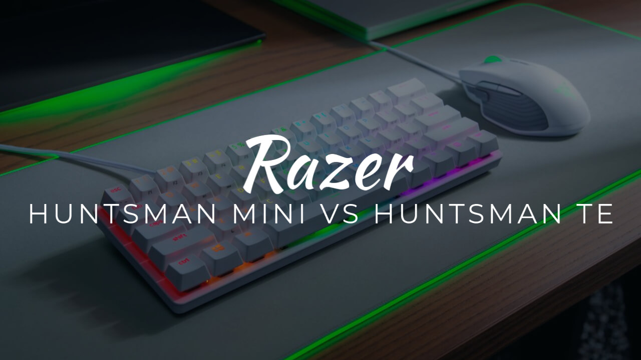 Razer Huntsman Mini vs Huntsman TE