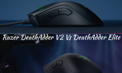 Razer DeathAdder V2 Vs DeathAdder Elite
